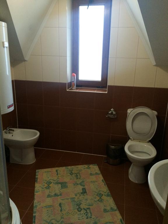 Hotel Gerdan Verkhovina Верховина Стая снимка